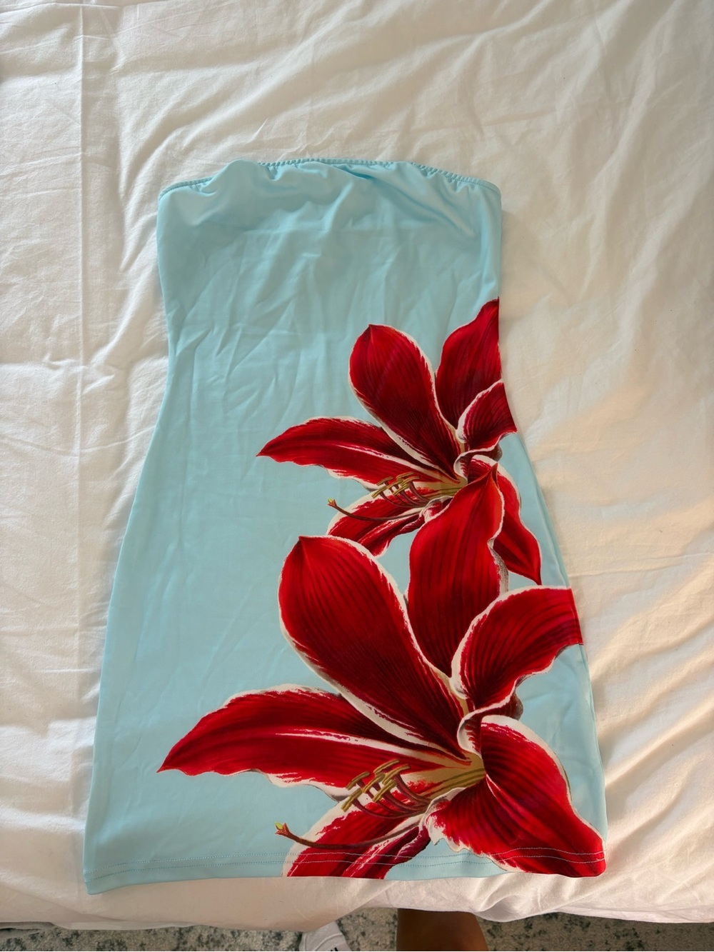 SHEIN mesh Strapless Light Blue Dress with Red Floral Print